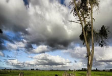 世预赛积分榜乱了！亚洲冠军输球，垫底队复活，中国队剩理论希望.