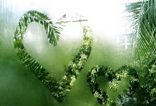 [高尔夫]女子排名：岩井千怜连胜43位 贝克首胜跃升到388位.：欧博官网