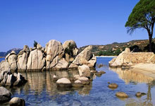 CBA季后赛外援盘点，浙江、北控、青岛3外援，9队有4名外援.：欧博官网